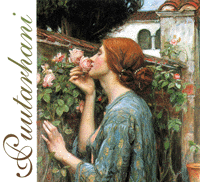 Waterhouse: My Sweet Rose